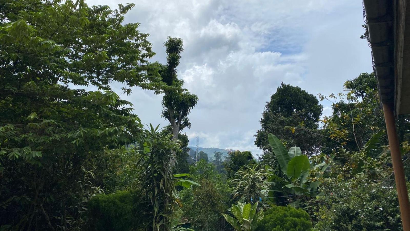 Cinnamon Homestay Ella Quarto foto